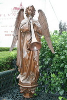 Angel en wood , Belgium 19th century