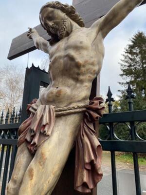 Exceptional Life Size Corpus Christ style Baroque - Style en Hand - Carved Wood , Belgium  18 th century