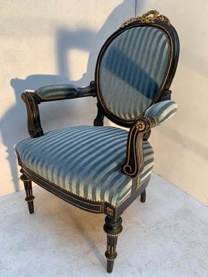 Chair en Wood / Bleu Velvet, France 19th century