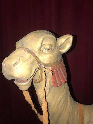 Exceptional Camel 100 X 100 Cm ! en plaster polychrome, Belgium 19th century