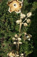 Rose - Bow en Brass / Polished / New Varnished, Belgium 19th century