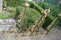 Matching Wall Brackets en Bronze, Belgium 19th century ( anno 1870 )