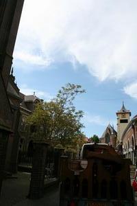 Full Oak Pews  style gothic en Oak, Dutch 19th century