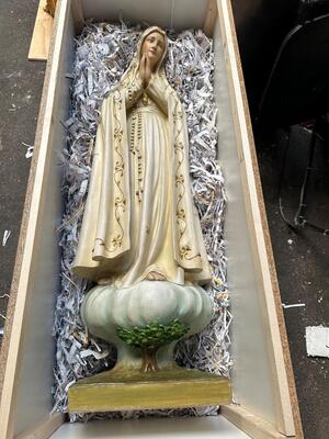 Packing Process For Madeira Portugal 2025